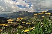 66  Doronico sui macereti al Passo della Portula con vista in Masoni